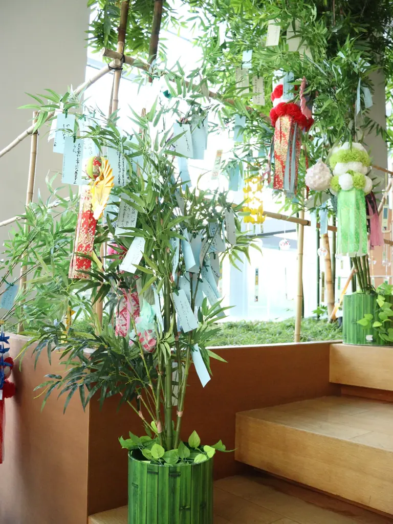 児童の願い事をイラストに！京橋築地小×アクアスター 七夕プロジェクト始動 ～銀座に短冊展示、企業×地域×学校の共創する学びのかたち～ 画像 2