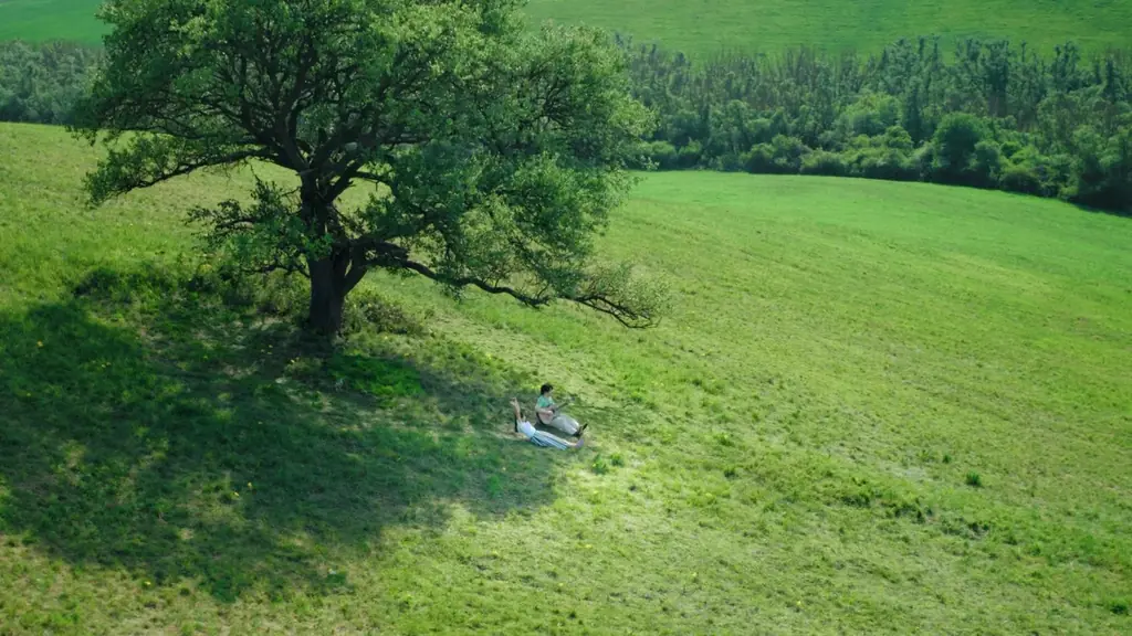 「淡麗グリーンラベル」新CM公開！多部未華子さん、Mrs. GREEN APPLE大森元貴さんがハンガリーの壮大な自然の中で“いいオフ♪”を満喫「ケセラセラ」アコースティックバージョンも初公開 画像 3