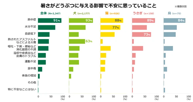 2025年7月3日発表！ペットの熱中症対策調査で判明した飼い主の工夫