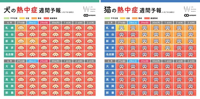 どうぶつたちの“暑さ”対策、ほぼ100％の飼い主様が実施中！ 画像 6