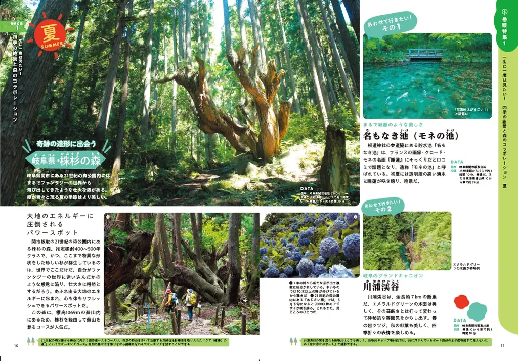 【地球の歩き方】旅するように森を歩こう。大阪・関西万博「住友館」とのコラボ書籍『日本の森の歩き方』が7月3日に発売！ 画像 2