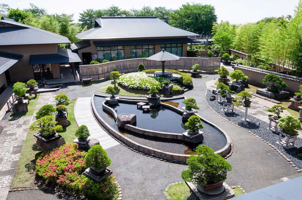 さいたま市大宮盆栽美術館で「ゆかた de 盆美」を実施します！ 画像 4