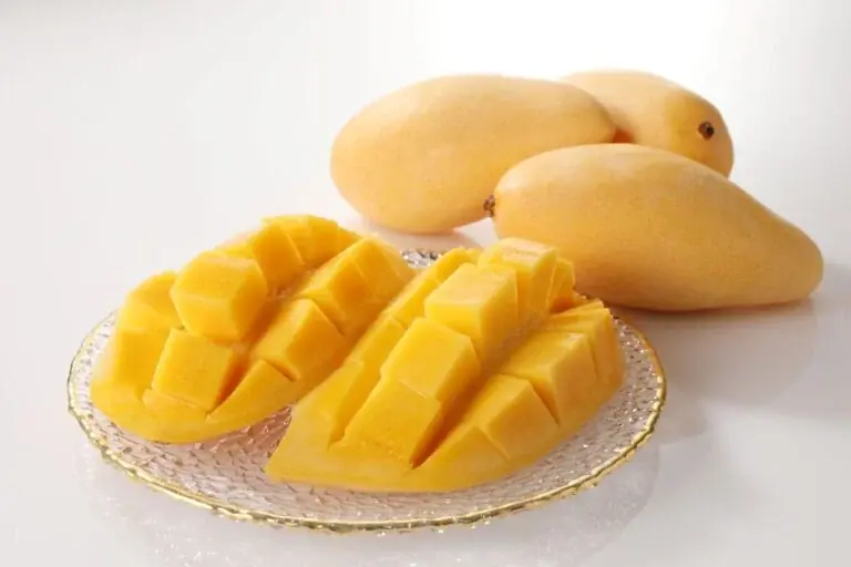 『夏限定！“桃・メロン・マンゴー”が食べ放題』7/8よりスイーツパラダイスでフルーツ食べ放題コース開催決定 画像 4