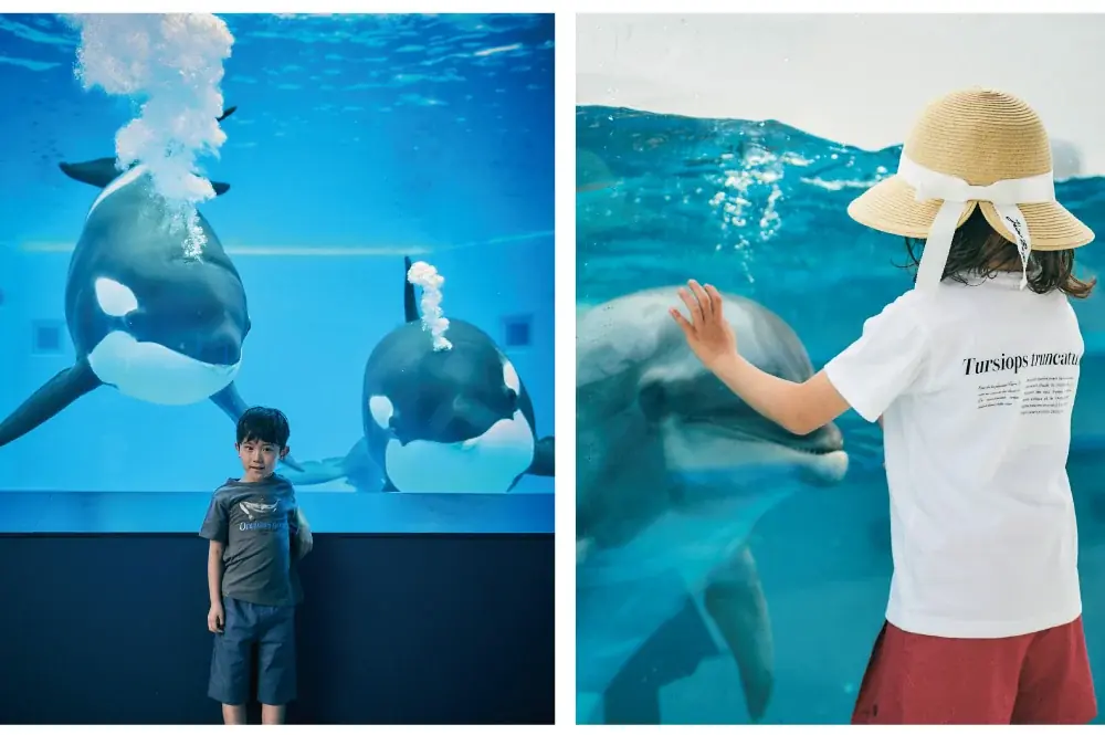 子供服ブランド「BeBe(株式会社ベベ）」より「神戸須磨シーワールド」とのコラボレーションアイテムが登場！ 画像 13