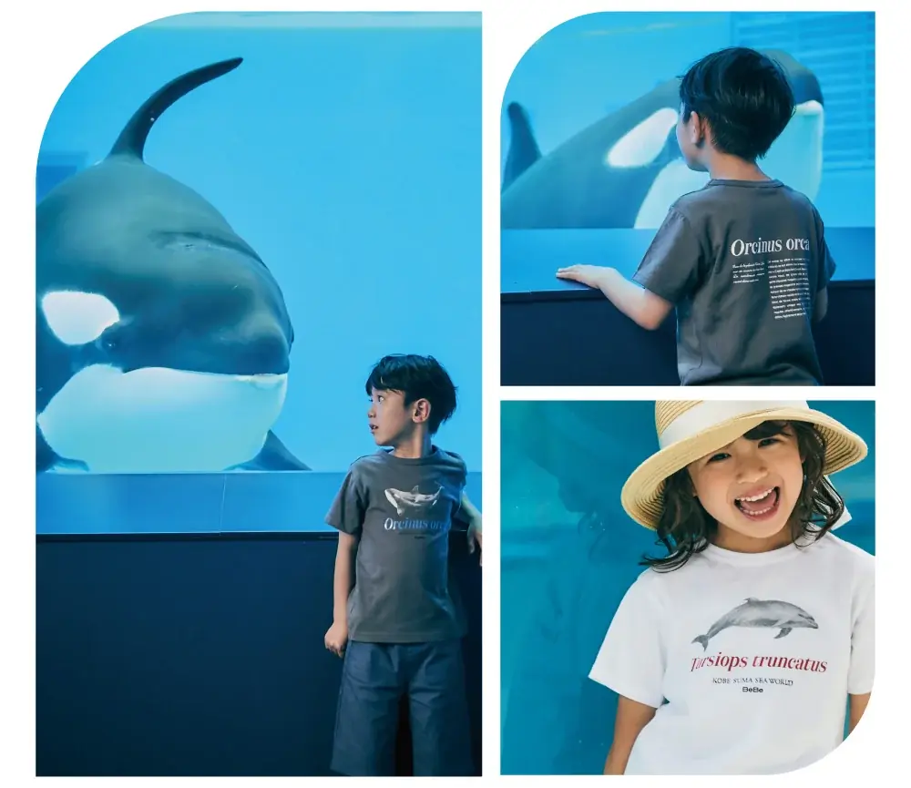 子供服ブランド「BeBe(株式会社ベベ）」より「神戸須磨シーワールド」とのコラボレーションアイテムが登場！ 画像 5