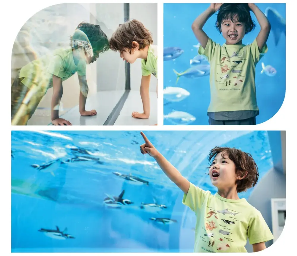 子供服ブランド「BeBe(株式会社ベベ）」より「神戸須磨シーワールド」とのコラボレーションアイテムが登場！ 画像 8