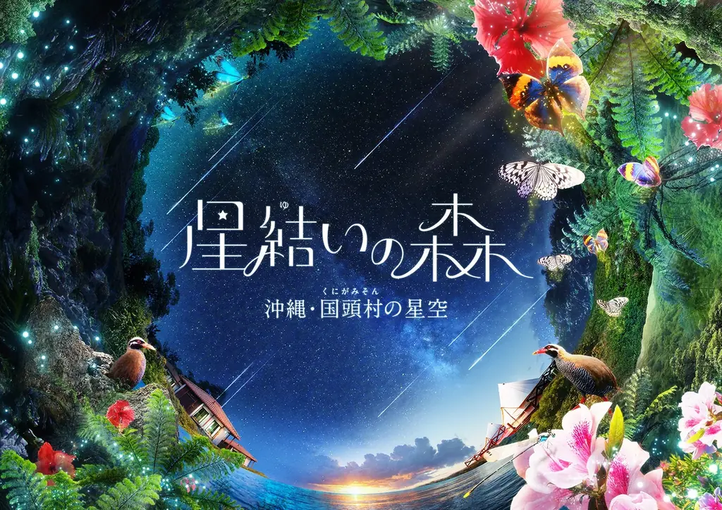 7月12日開催！星結いの森イベントで国頭村の星空体験と夏ドリンクを満喫