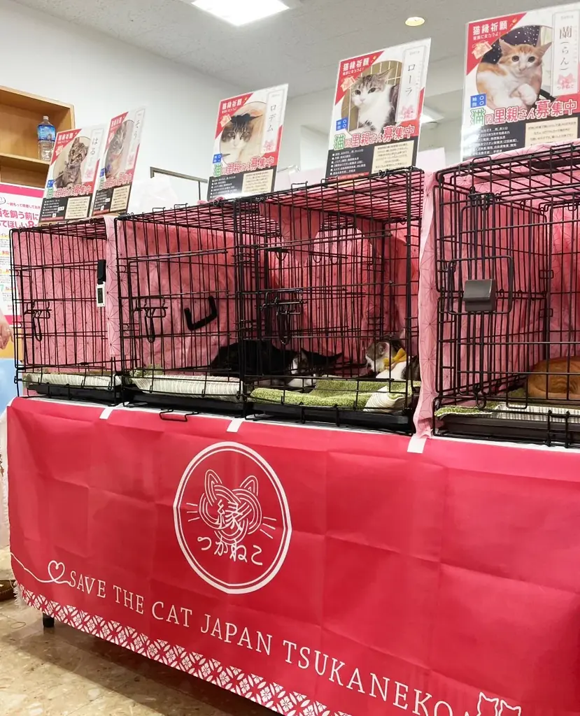 7月9・10日開催「世界のMUSASHI個展」で動物愛護とアートが融合