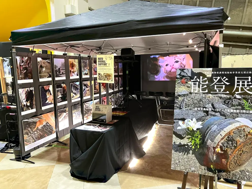 「世界のMUSASHI個展」に動物愛護団体「つかねこ」が参加決定 画像 3