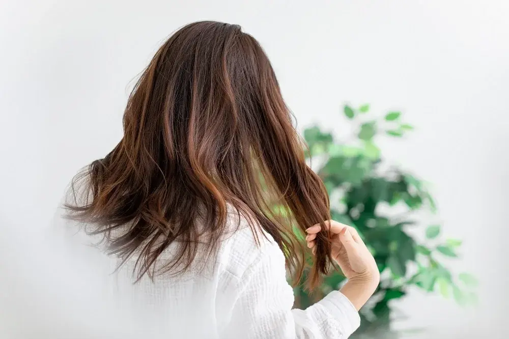 【ドライヤー前のヘアミストでダメージケア】保湿&ドライヤーの熱から髪を守るミストは紫外線が強い季節も大活躍 画像 2