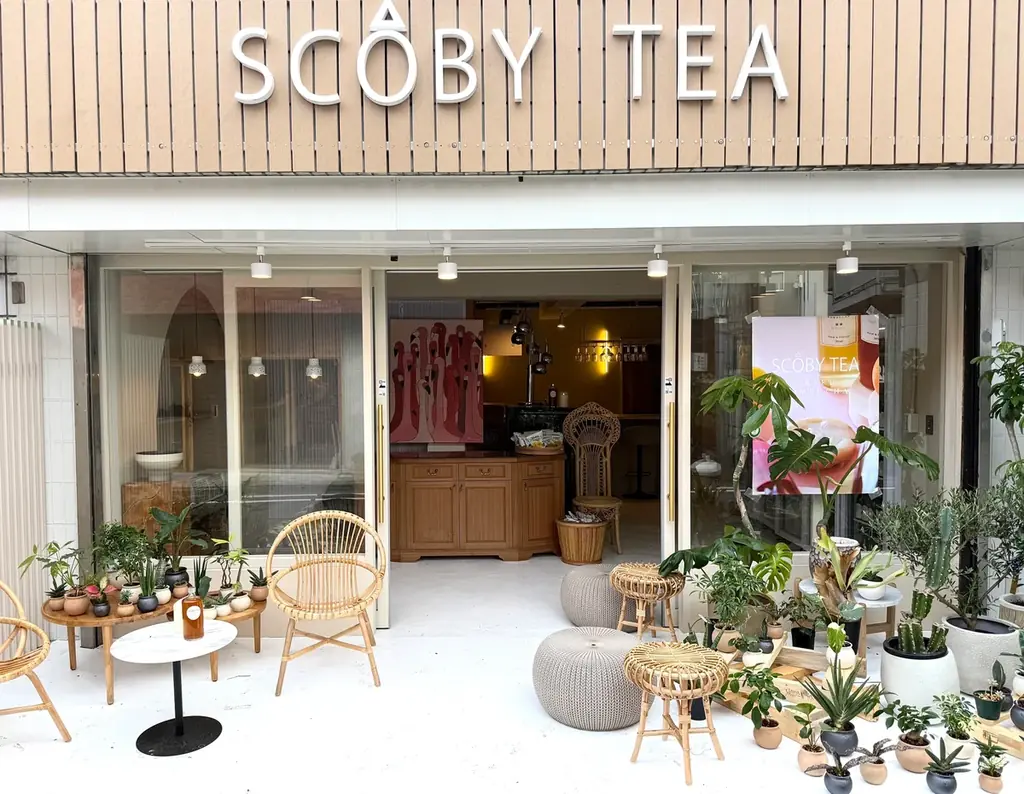 7月5日開店！駒沢に健康志向のクラフトコンブチャ専門店SCOBY TEA誕生