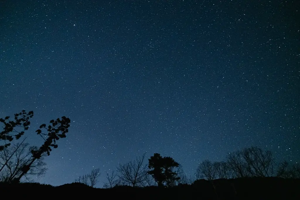 【兵庫県宍粟(しそう)市】7月7日七夕に情報公開!中秋の名月を眺める自然豊かな夜。テーマは“星空と焚火が織りなす、癒しの中秋ナイト”9月5日限定のイベントを開催。 画像 6