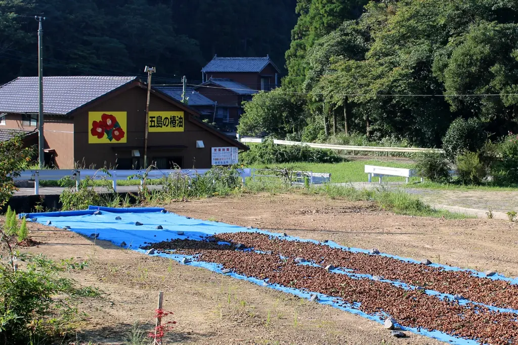 課題先進地・五島市の視察研修プログラム「五島五感塾」７月７日販売開始【長崎県・一般社団法人 五島市観光協会】 画像 7