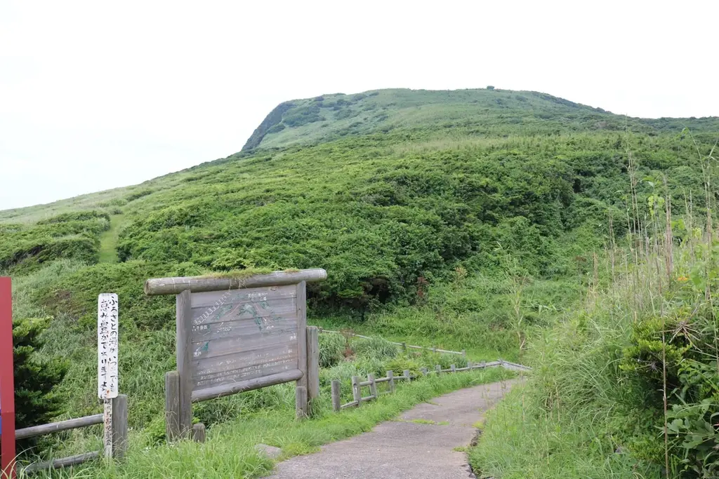 課題先進地・五島市の視察研修プログラム「五島五感塾」７月７日販売開始【長崎県・一般社団法人 五島市観光協会】 画像 9