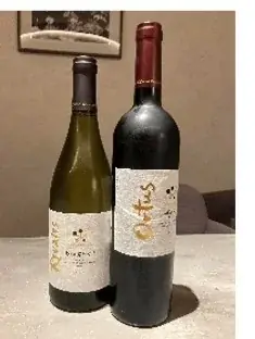 大阪・関西万博の会場内に出店する「ラウンジ＆ダイニング」完全個室でフレンチを提供する「レセプションルーム」 で神戸牛・国産牛肉のメイン料理付きビュッフェの提供を開始 画像 10