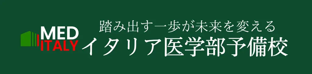 【医師の9割以上が英語力不足を痛感】増える外国人患者に対応する日本の医療現場や、国際学会での問題点を調査 画像 7