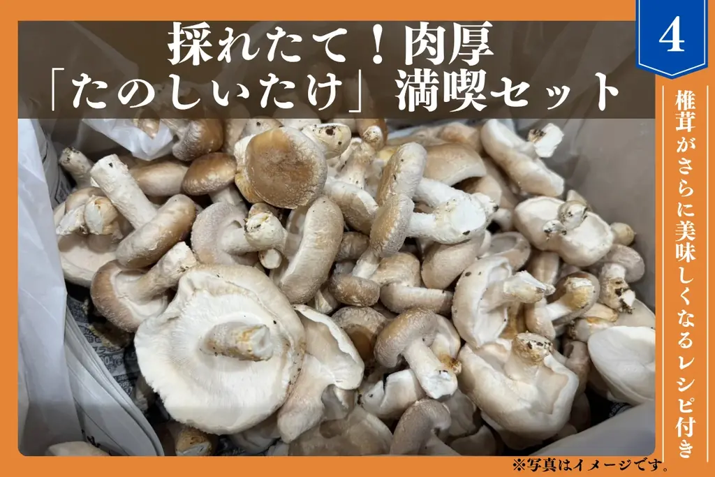 【たのしいたけ園】障がい者の経済的自立を応援！肉厚ジューシー「たのしいたけ」で育む笑顔と未来！クラウドファンディング開始 画像 7
