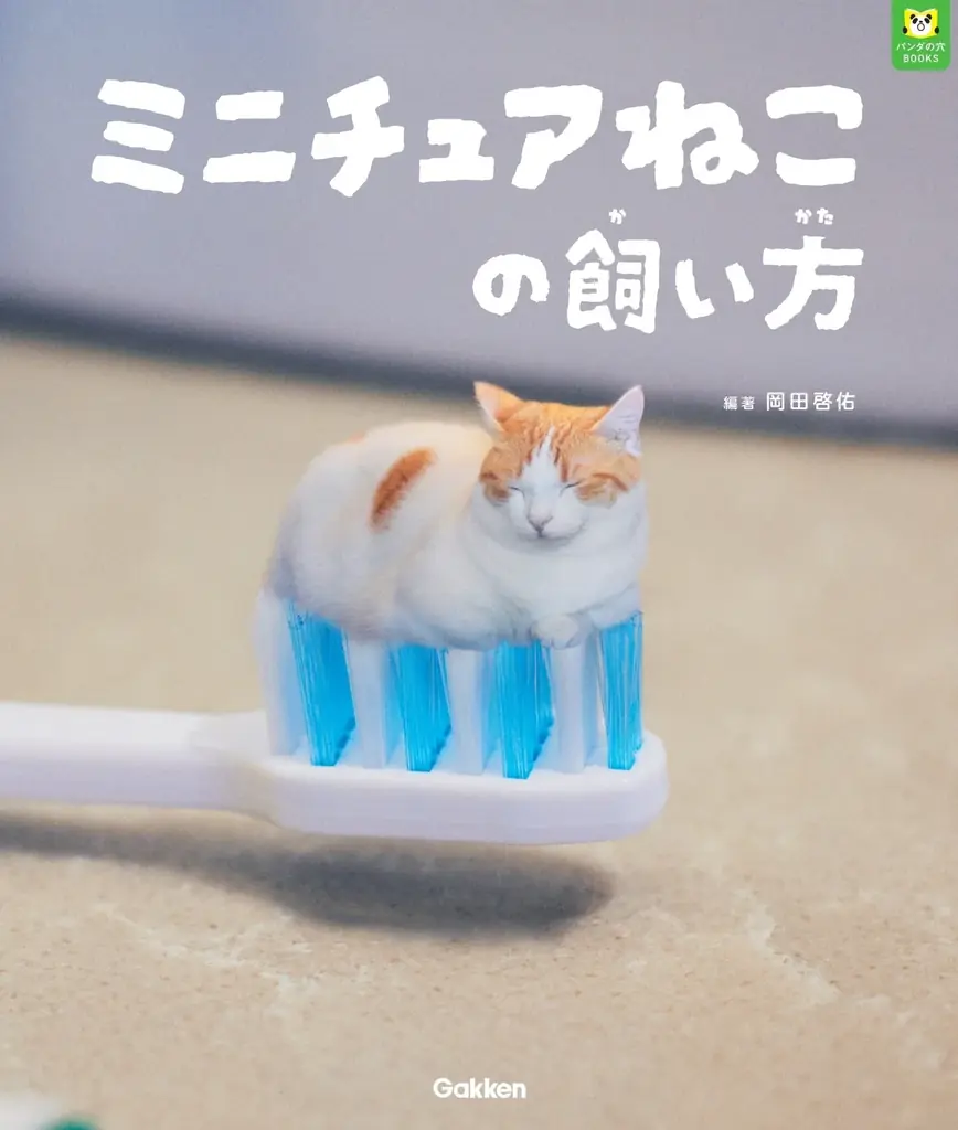 2025年8月1日発売『ミニチュアねこの飼い方』の魅力と予約開始情報
