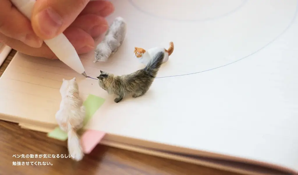 【あまりの可愛さに猫好き大興奮!?】「パンダの穴BOOKS」第1作目の『ミニチュアねこの飼い方』発売決定＆予約開始!! 画像 4