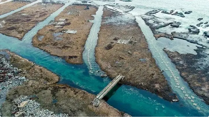 関西万博会場内セブン‐イレブン、兵庫県内一部店舗限定で「こだわりおむすび うに味噌 」販売開始 画像 2