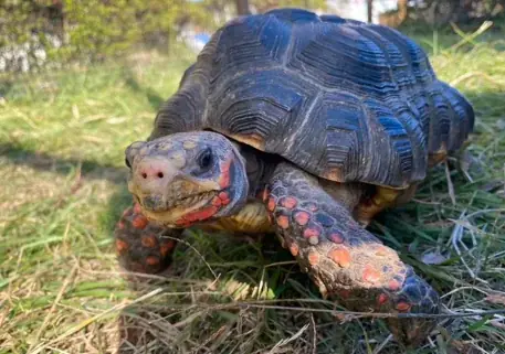 “海”を感じる館内装飾や移動水族館など夏休みを家族で楽しむ　あみアウトレット「Happiness Summer」開催 画像 10