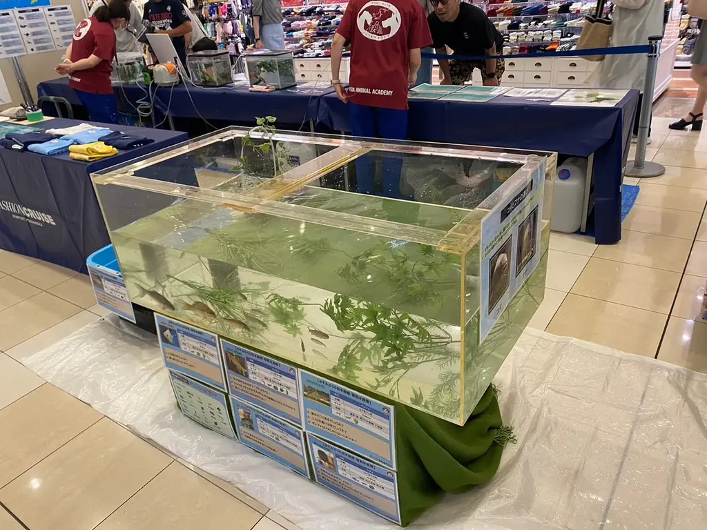 “海”を感じる館内装飾や移動水族館など夏休みを家族で楽しむ　あみアウトレット「Happiness Summer」開催 画像 11