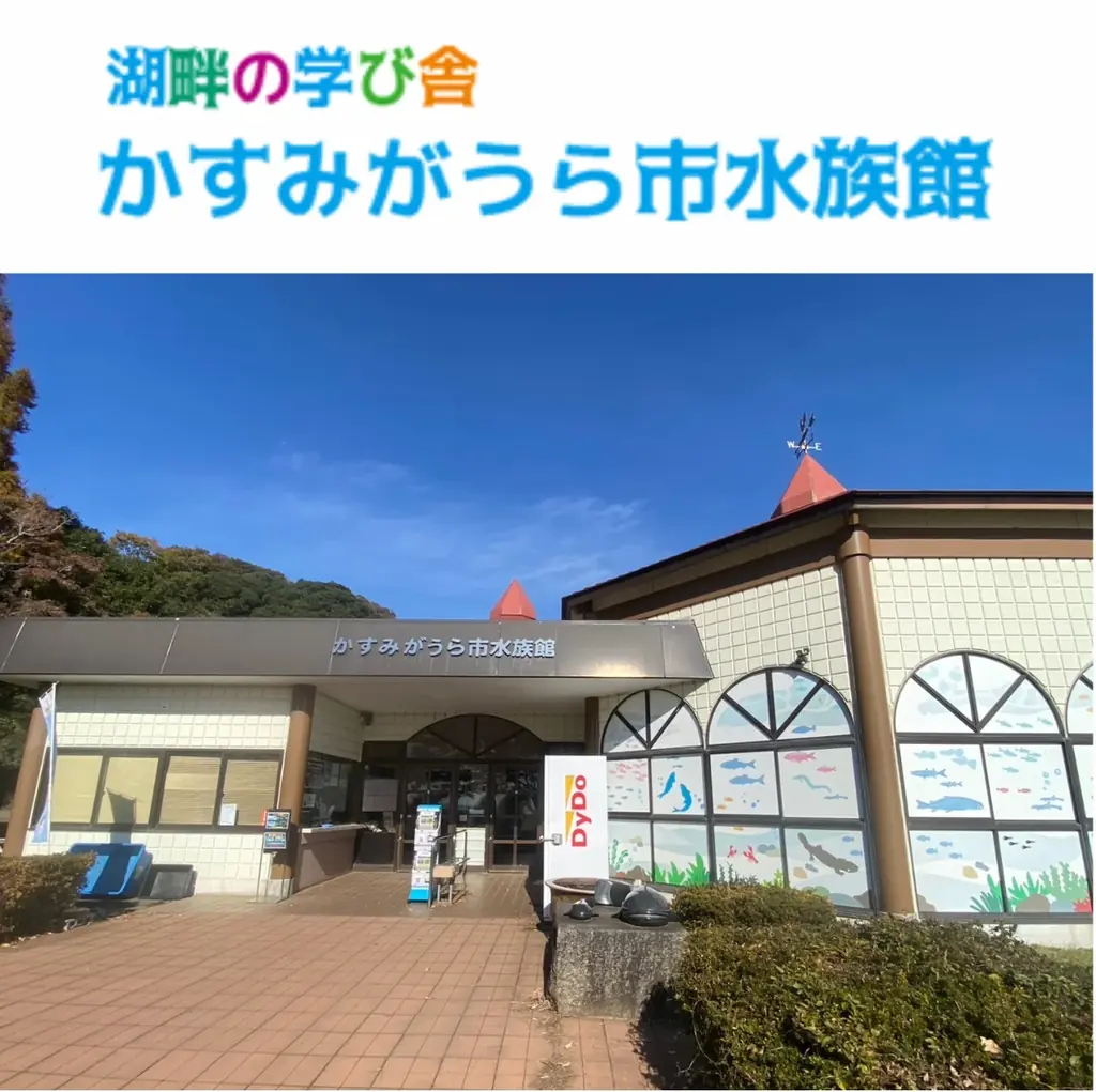 “海”を感じる館内装飾や移動水族館など夏休みを家族で楽しむ　あみアウトレット「Happiness Summer」開催 画像 14