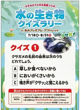 “海”を感じる館内装飾や移動水族館など夏休みを家族で楽しむ　あみアウトレット「Happiness Summer」開催 画像 8