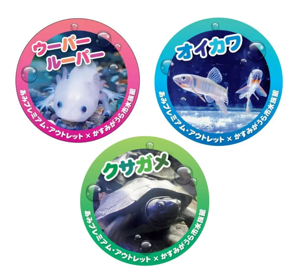 “海”を感じる館内装飾や移動水族館など夏休みを家族で楽しむ　あみアウトレット「Happiness Summer」開催 画像 9