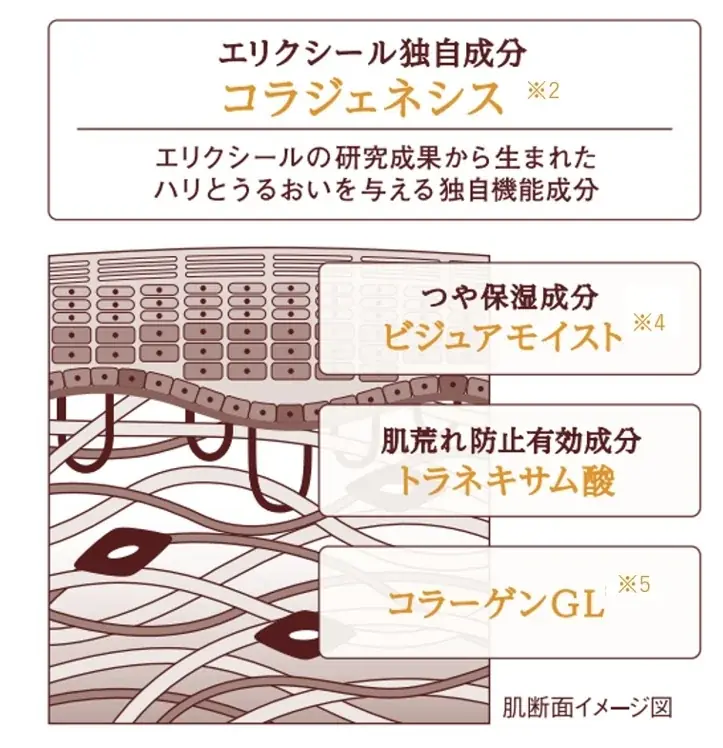 肌のハリと。新たな次元へ。エリクシールから「新・高機能エイジングケア※1化粧水・乳液」誕生。～2025年8月21日（木）発売～ 画像 7