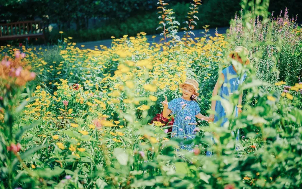 神戸布引ハーブ園の大人気企画「宝探しゲーム」が世界的名作の日本初の劇場アニメ「不思議の国でアリスと -Dive in Wonderland-」（8/29全国公開）とコラボ！7/12（土）より開催します 画像 7