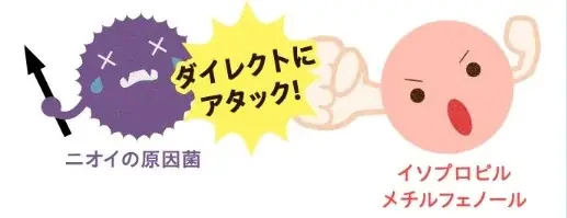 殺菌*×防臭！イヤ～な足のニオイが長時間スッキリ！〈薬用フットデオパウダー〉を数量限定で新発売 画像 3
