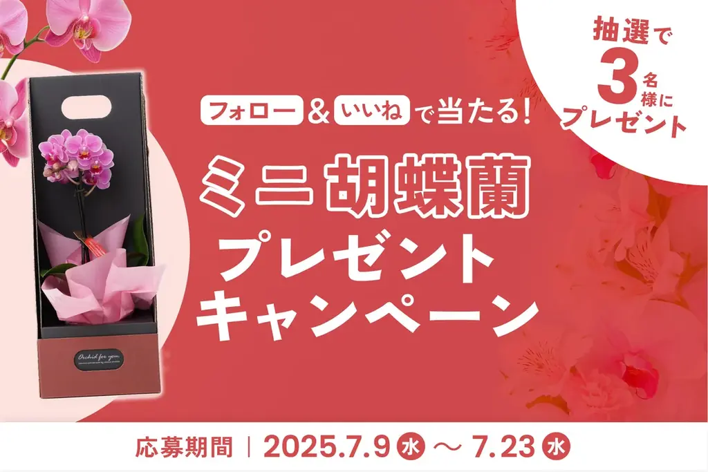 2025年7月9日開始！ミニ胡蝶蘭が当たるプレゼントキャンペーン開催