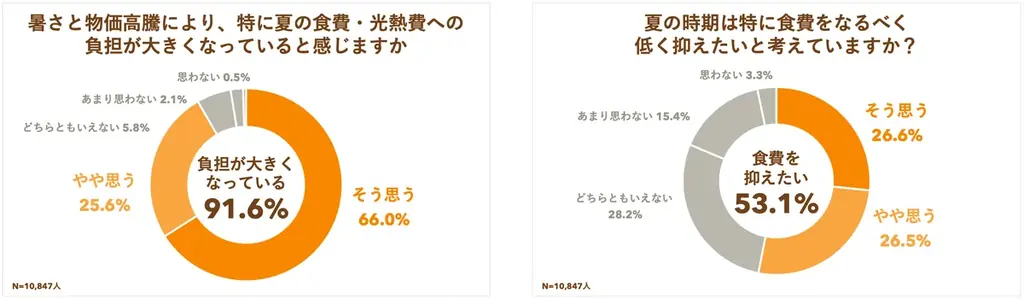 【クックパッド】全国1万人の調査で見えた“新時代の夏ごはん”の実態を発表。家庭の知恵と工夫を活用する『夏の三重苦を乗り切る5つの食卓術』を提案 画像 15