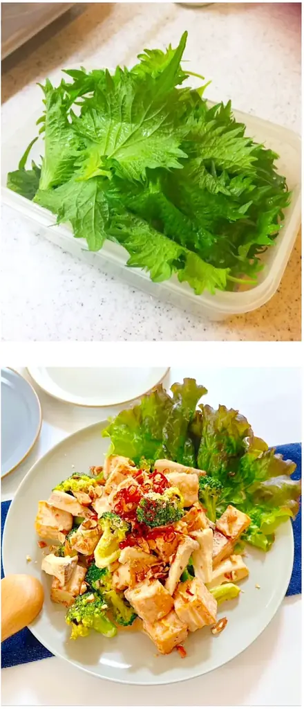 【クックパッド】全国1万人の調査で見えた“新時代の夏ごはん”の実態を発表。家庭の知恵と工夫を活用する『夏の三重苦を乗り切る5つの食卓術』を提案 画像 19