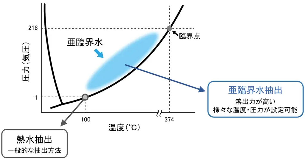 霊芝の亜臨界水抽出物が肌のDNA修復能力を高め、様々な肌悩みを改善することを発見 画像 3