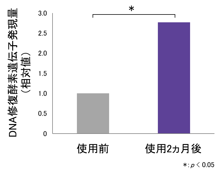 霊芝の亜臨界水抽出物が肌のDNA修復能力を高め、様々な肌悩みを改善することを発見 画像 4