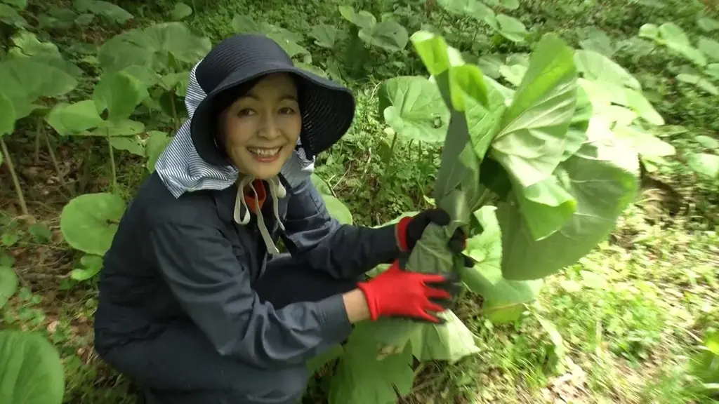 【ＢＳ日テレ】財前直見が15年実践するスローライフ！自家製味噌で「無限ごはん」レシピ公開 画像 5