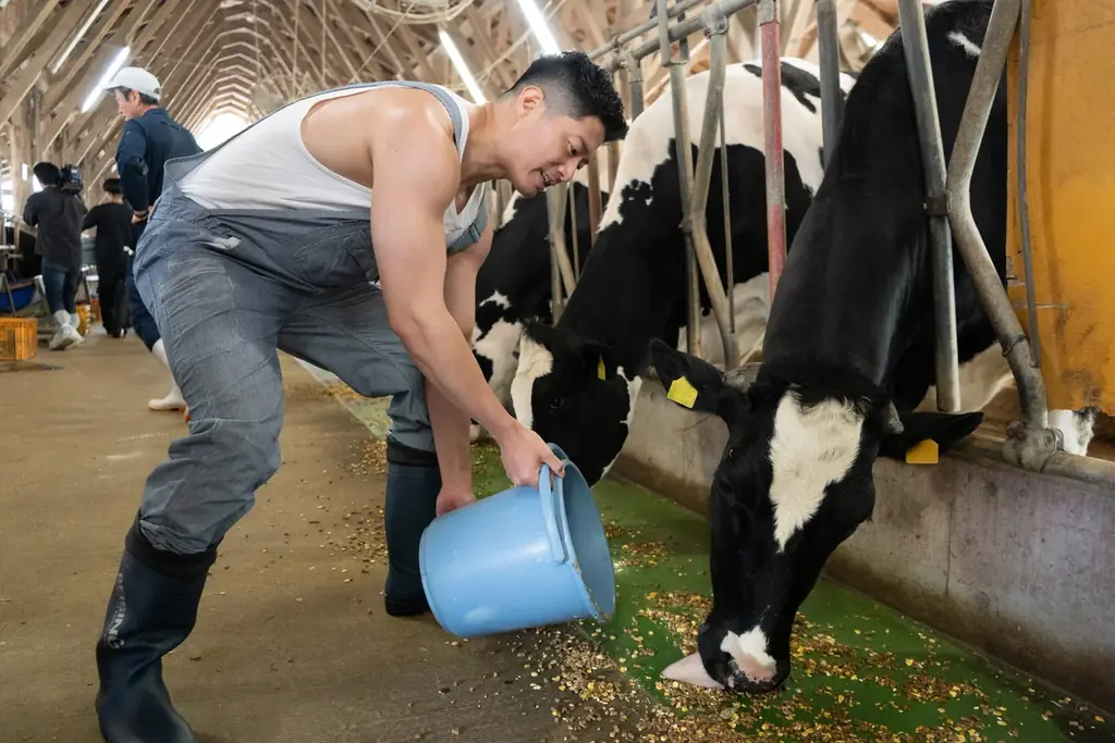 日本の酪農の力を引き出す「牛乳割り専用プロテイン」―大山乳業×ビーレジェンド、地域資源循環型プロジェクト始動― 画像 3