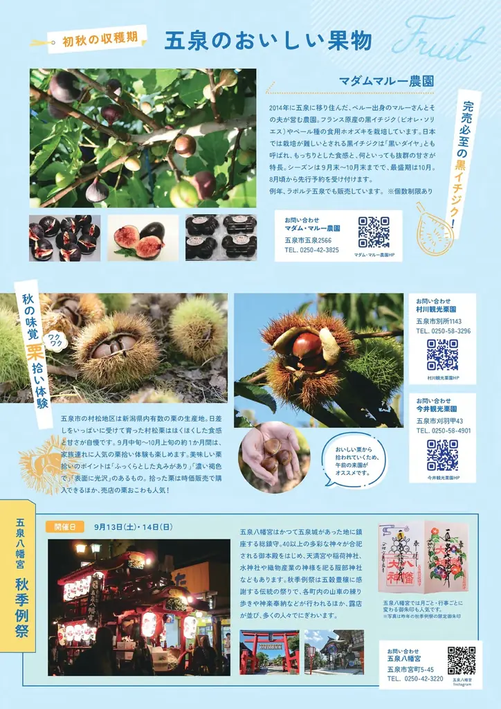 夏の五泉の魅力を発信!「GO!GO!ごせんNEWS」8・9月号発行!花火、名水、ひんやりスイーツで五泉の夏を楽しもう 画像 3