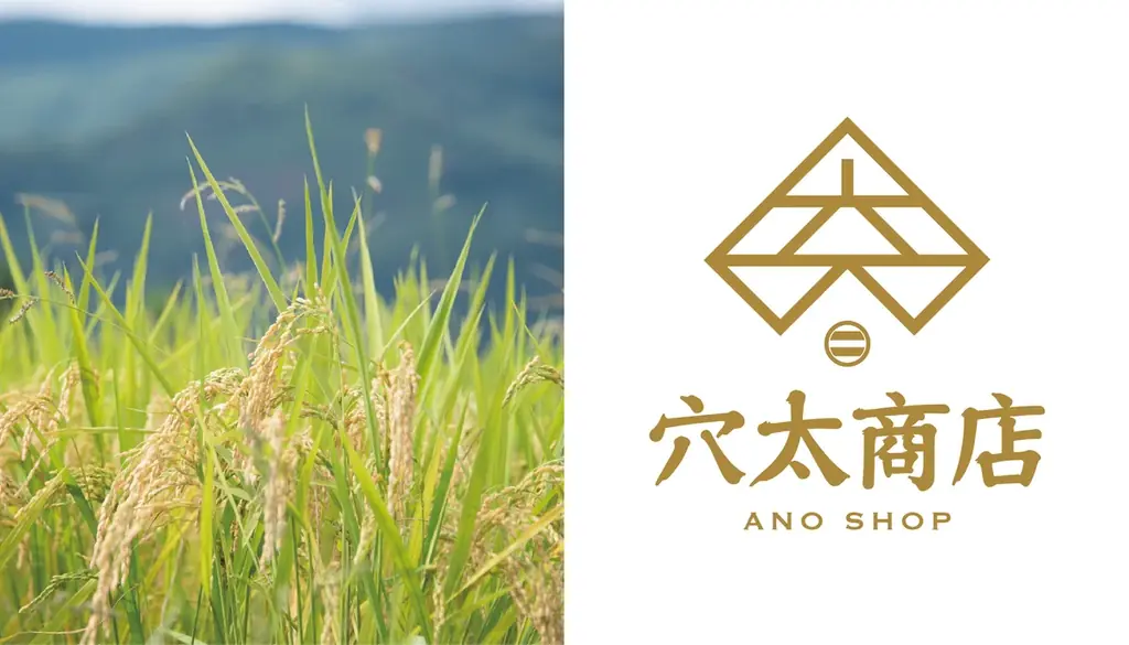 穴太衆のふるさと滋賀県大津市に “お米” 由来のカフェ『穴太商店』本店がグランドオープン！【2025年7月18日(金)】 画像 1