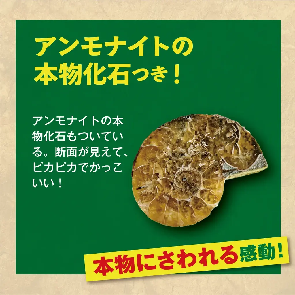 2025年10月23日発売『学研の科学』恐竜化石発掘キットで本格体験