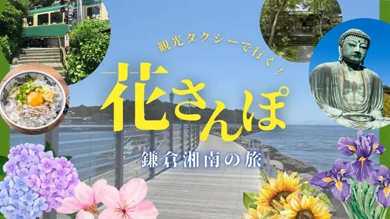 7月10日開始 日本交通の鎌倉湘南観光タクシーで花さんぽ旅
