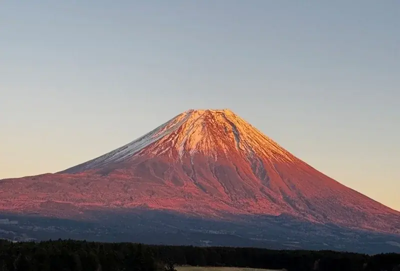 日本交通のEDS観光タクシー「鎌倉湘南」コース運行開始 画像 4
