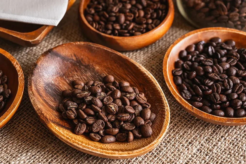 世界中のスペシャルティ珈琲豆を集めた珈琲専門店「Kaffavel Coffee Roast Labo」が東京都世田谷区桜新町にオープン！ 画像 6