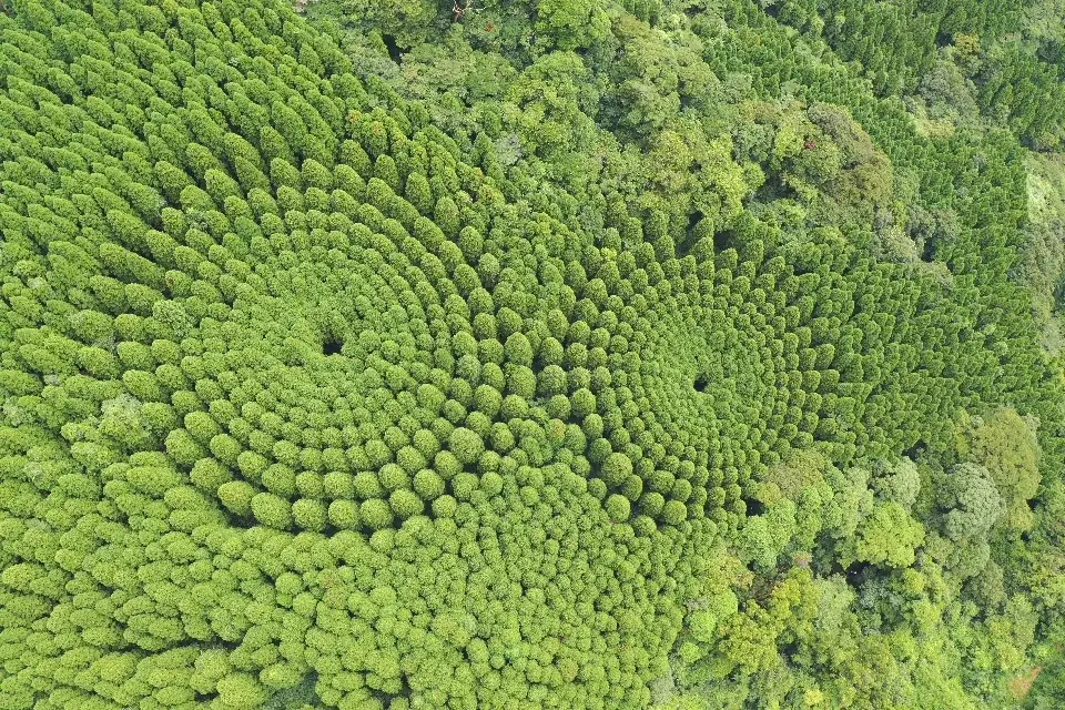 夏は宮崎へ！日南市の”とっておき”を巡る旅。雄大な自然を満喫できる、おすすめ「穴場スポット」をご紹介 画像 2