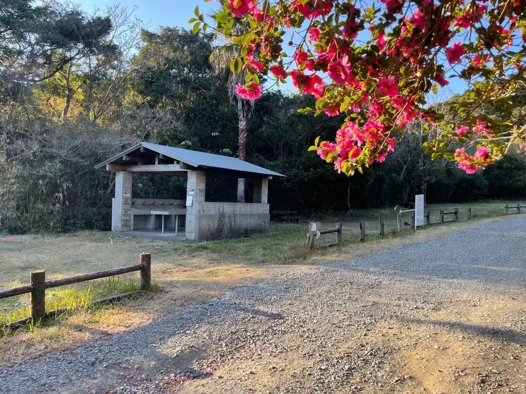 夏は宮崎へ！日南市の”とっておき”を巡る旅。雄大な自然を満喫できる、おすすめ「穴場スポット」をご紹介 画像 5