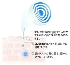 【幸せのモーメントをお届け】肌も地球もうれしい、期間限定パッケージのトライアルセットが10%OFF で登場! 画像 2