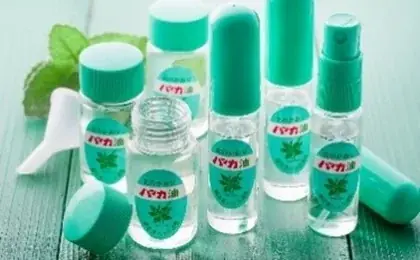 【北海道限定】清涼感抜群のスイーツ系サンドイッチの登場！チョコミントクリームを挟んだサンドイッチを7月16日（水）より期間限定で発売します 画像 3