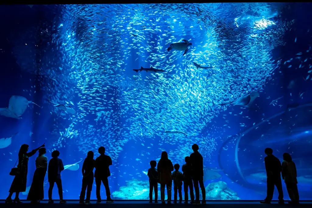 【アクアワールド茨城県大洗水族館】アクアワールド・大洗流、涼んで楽しむ暑い夏SUMMER AQUAWORLD 2025 画像 2
